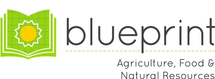 Agriculture field blueprint logo